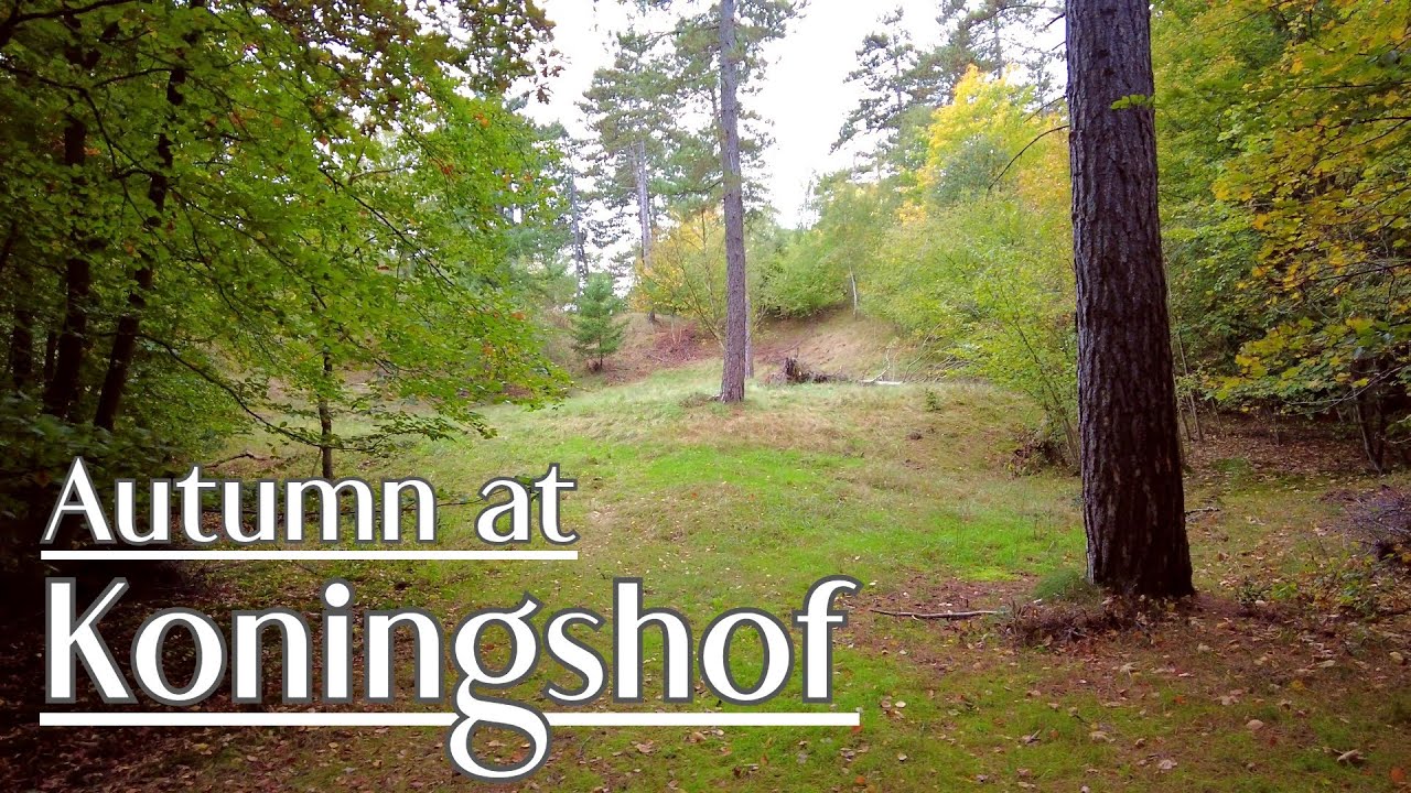 Autumn in Koningshof Estate - Walking in Zuid-Kennemerland National Park, the Netherlands | 4K