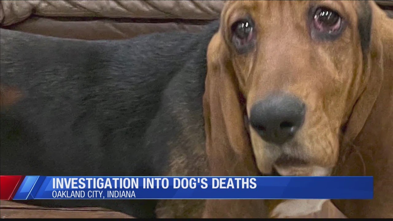 Eyewitness News at 10:00 p.m.