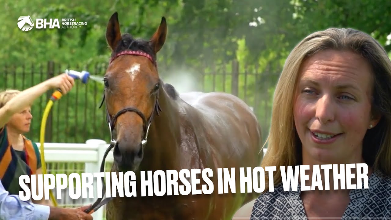 How horses are supported on British racecourses in hot weather