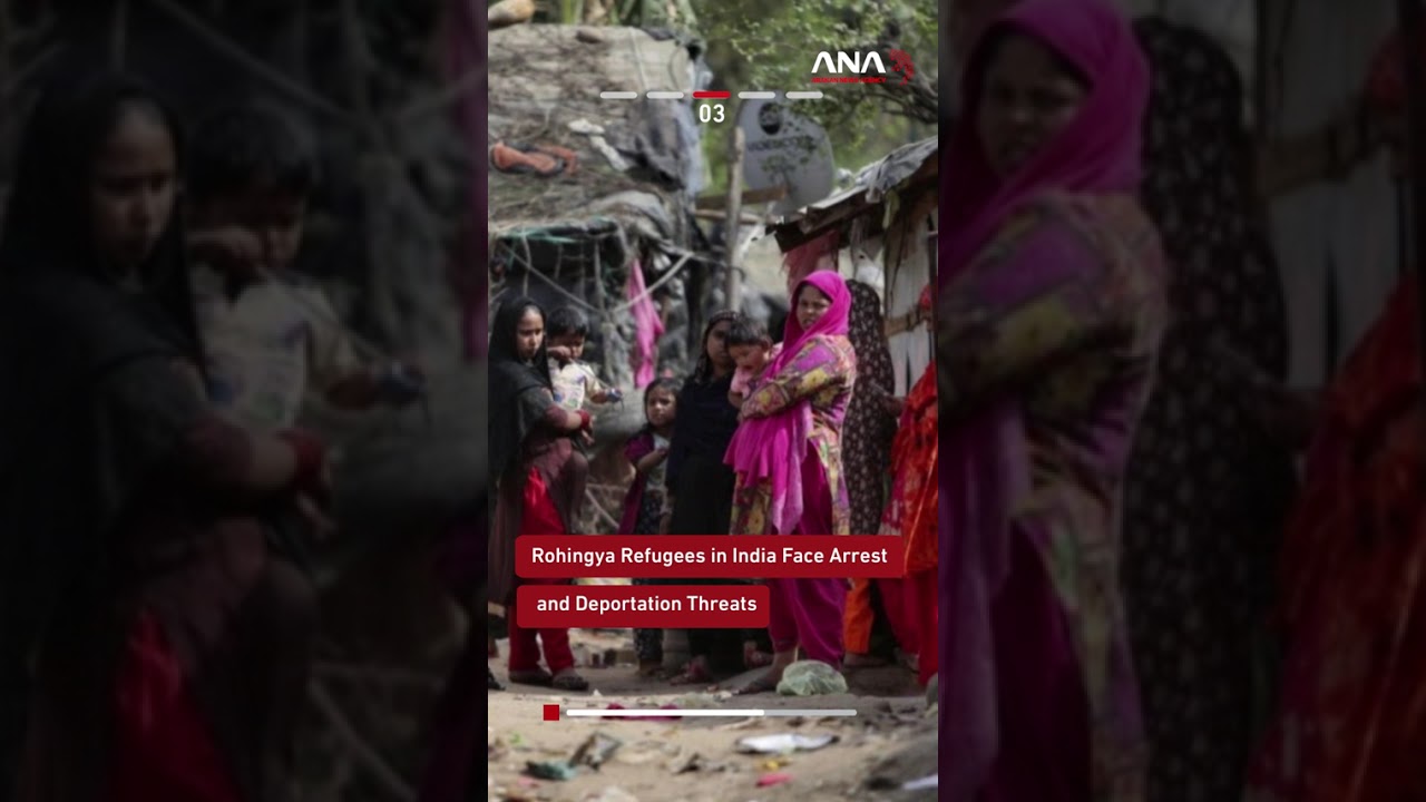 Rohingya news today | Rohingya News Brief in Rohingya language | 20-2- 2026