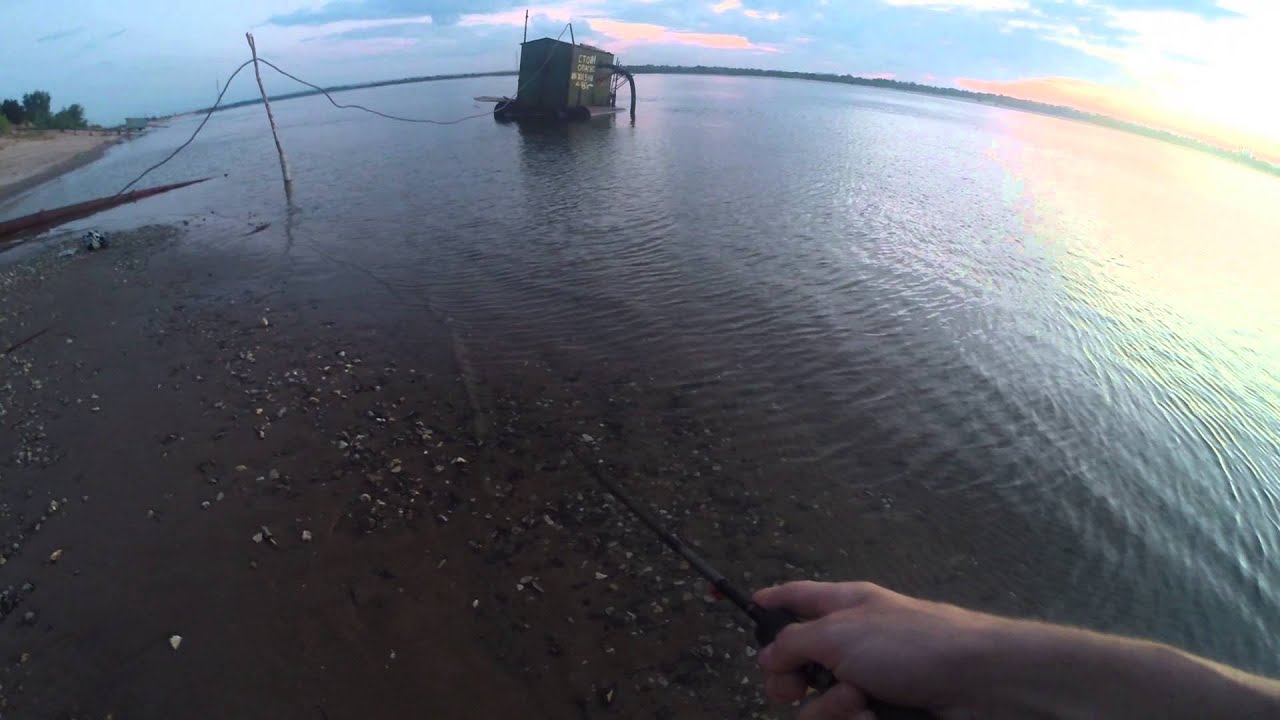 LUCKY CRAFT SAMMY 65 v.s. жерех
