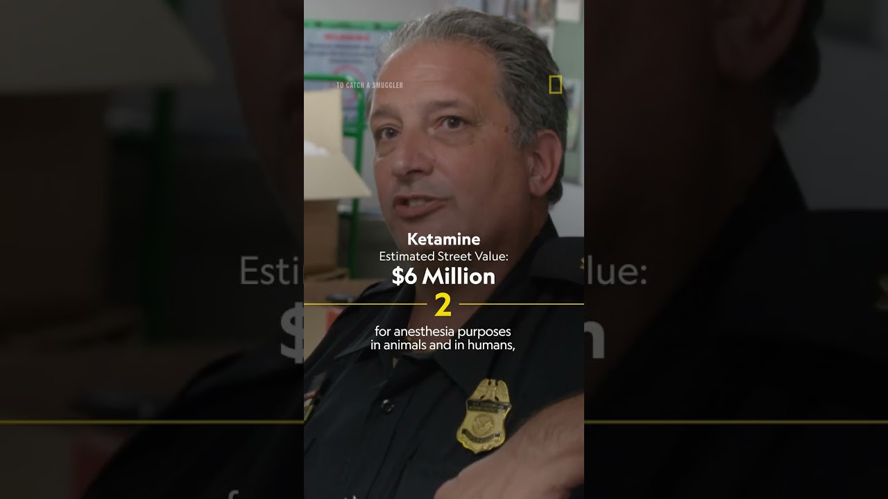 Drug busts worth millions on #ToCatchASmuggler #shorts
