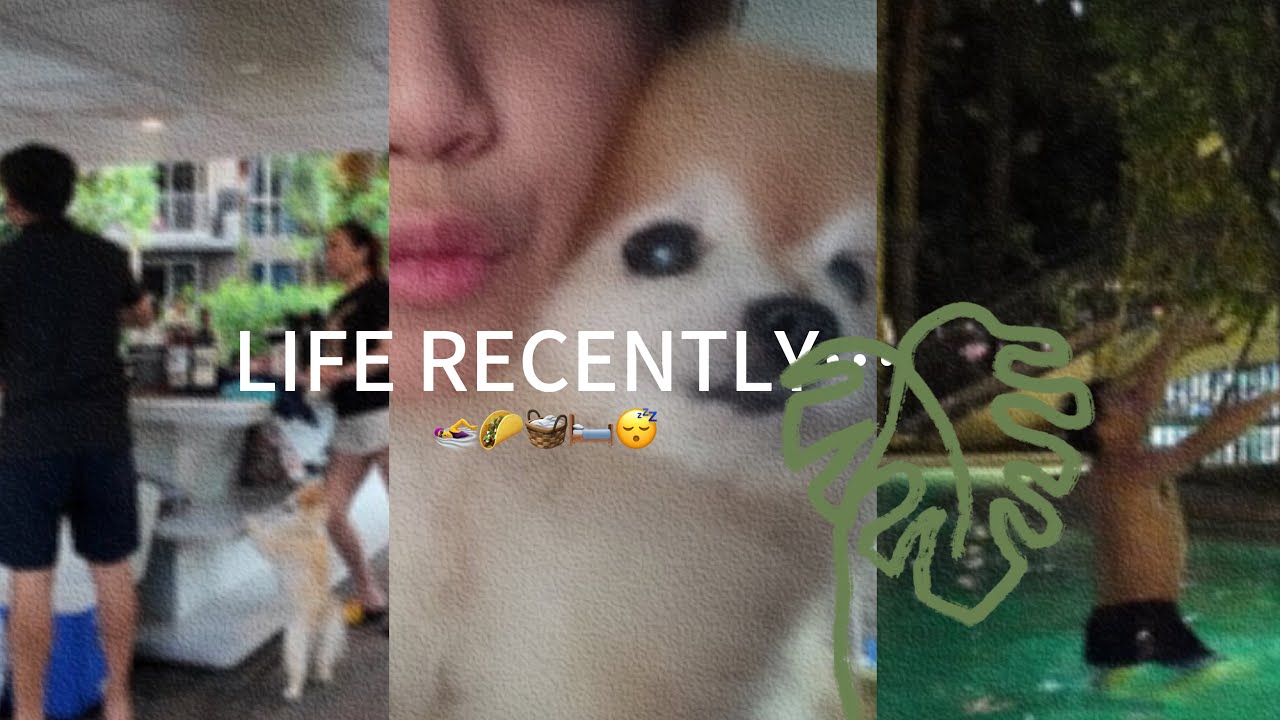 A weekend in my life VLOG || Life update! 