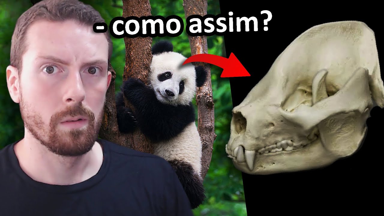 Biólogo tenta adivinhar o ANIMAL pelo CRÂNIO - Parte 2