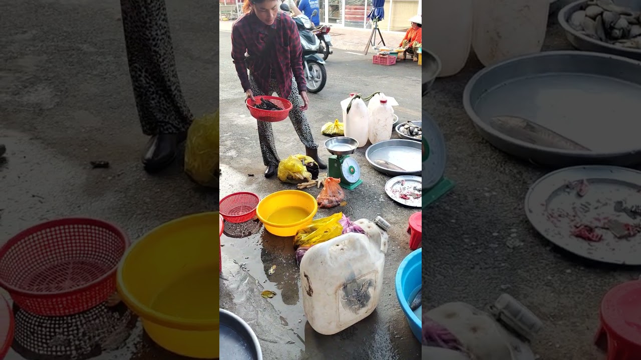 CỨU MẠNG CHÚNG SANH ĐỂ HÓA GIẢI CHIẾN TRANH 