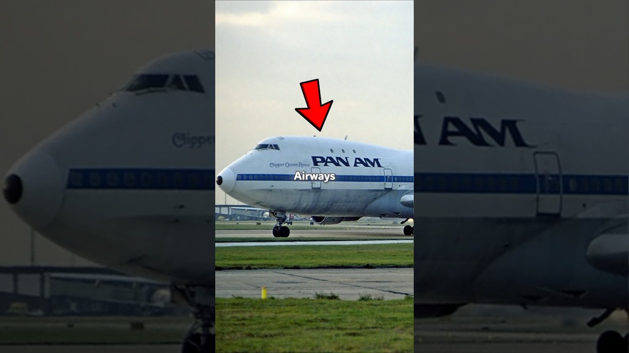 Pan Am is coming back!?