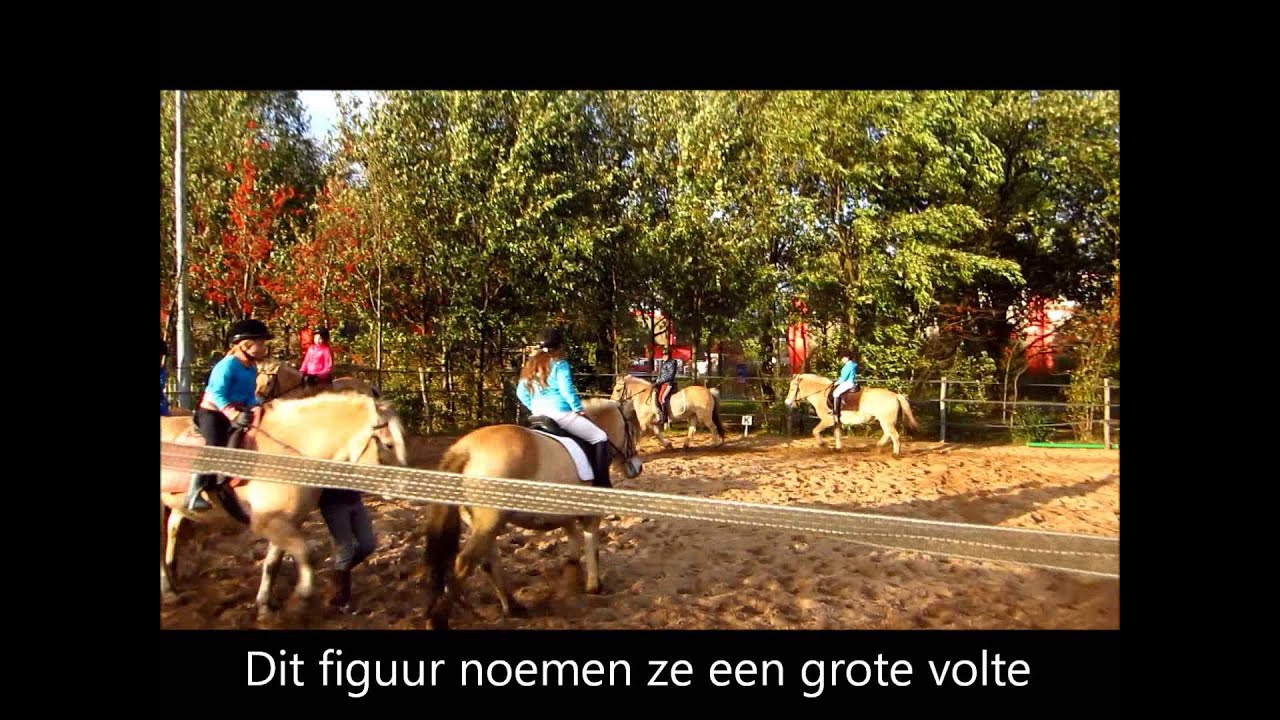 Paardrijden bij Stal de Spaane kampen