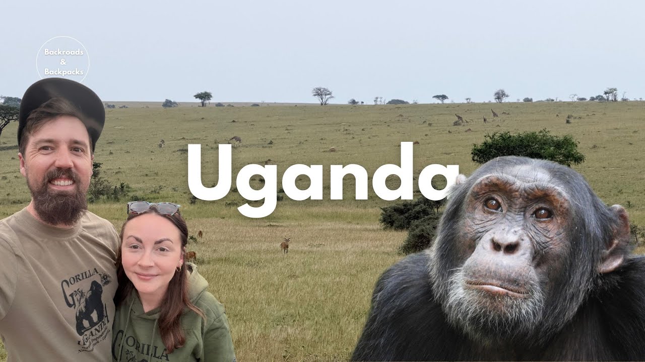 Uganda | Into the Wild: Gorillas, Chimps & the Big Five