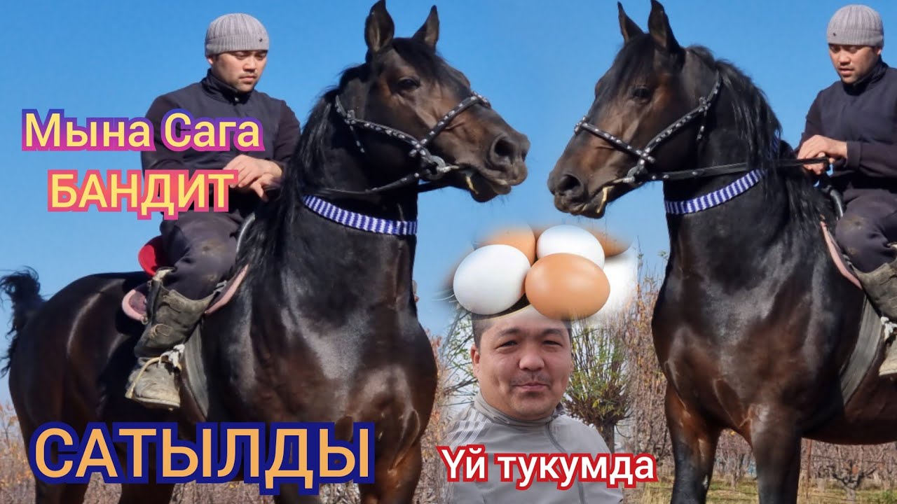 БАНДИТ шарт САТЫЛДЫ