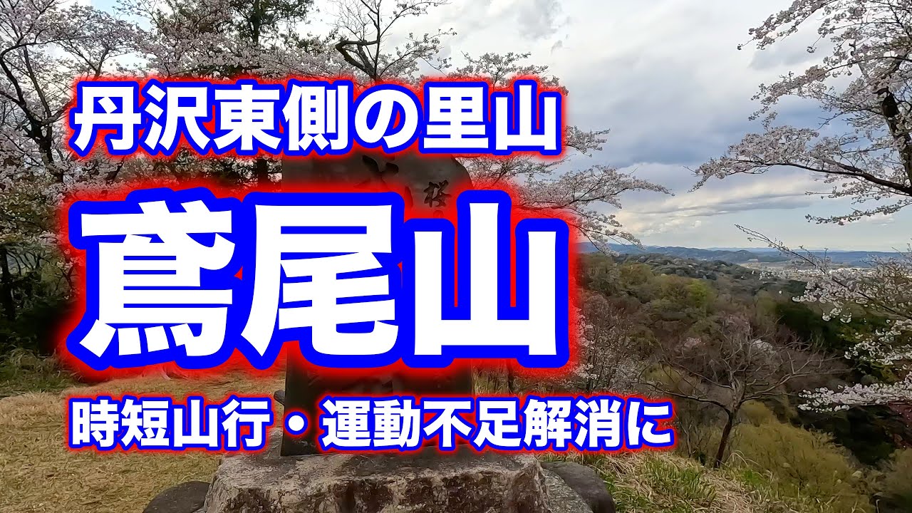 穴場な里山 丹沢東部 鳶尾山