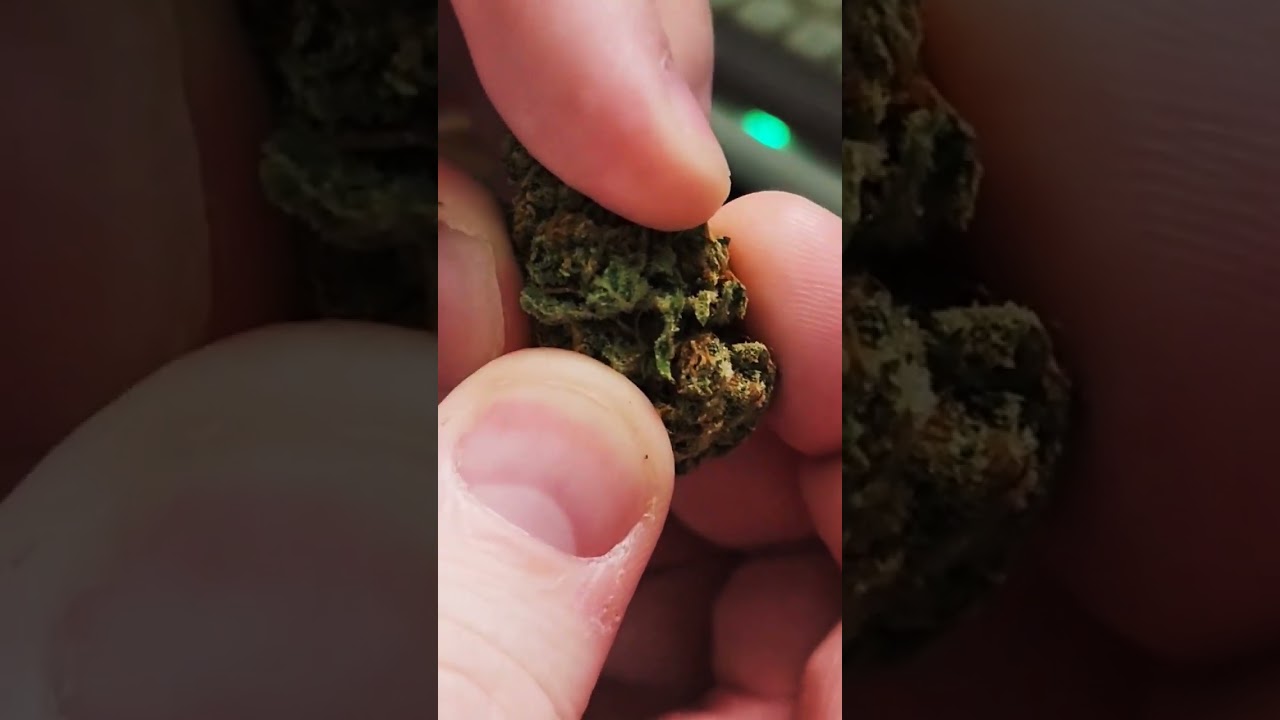 Super Lemon Haze Bud 🍋🔥 One of My Faves! #WeedLovers #LeafWizard #CannabisStrains