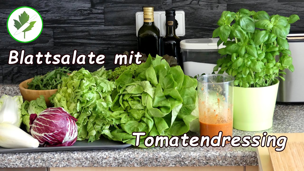 11 Blattsalate und ein leckeres Tomatendressing 🍅