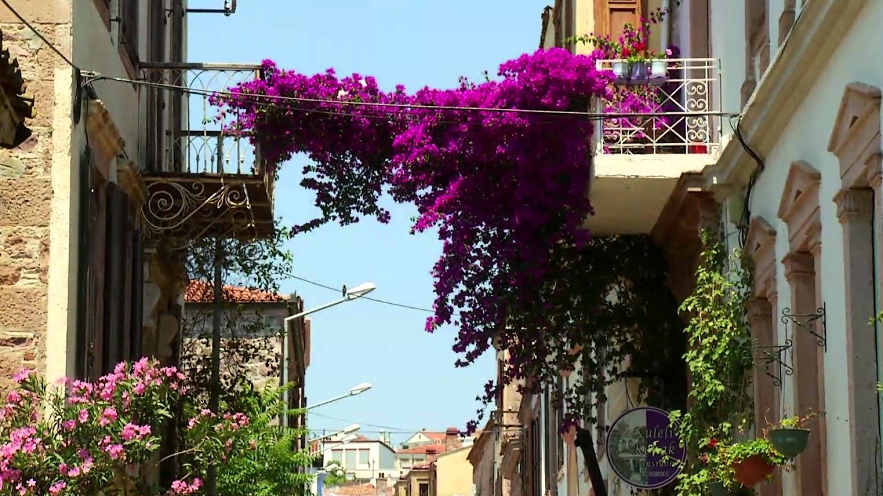AYVALIK (Official Advertorial)