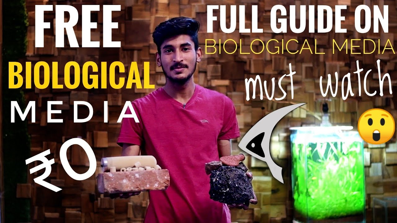 Free Biological Filter Media For Aquarium | Full Guide On Biological Filtration Of Aquarium