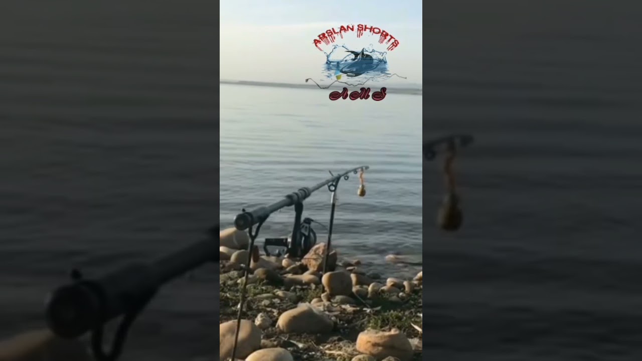 RAWAL DAM FISHING POINT|LIVE|CHAL|#TD #viral #trending