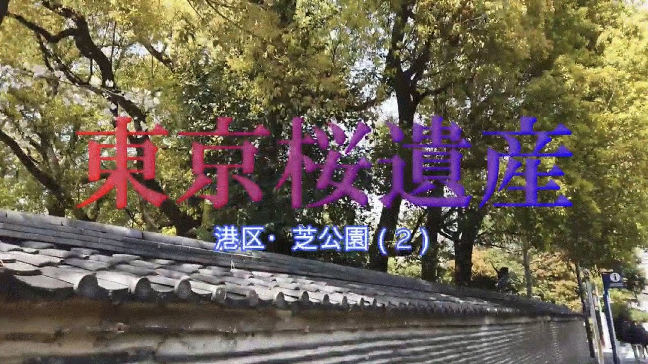 東京桜遺産（２）