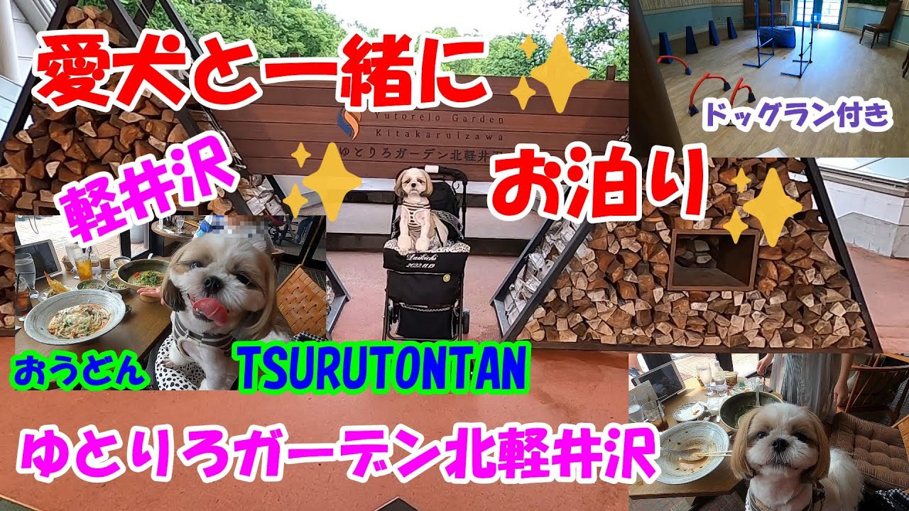 愛犬と一緒にお泊り　ゆとりろガーデン北軽井沢　軽井沢旅行その①