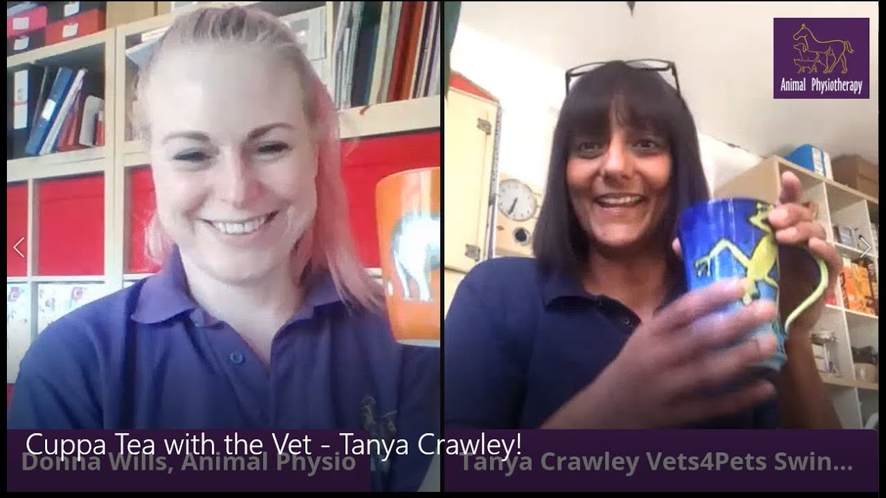 What do You Love about Physio - Tanya Crawley