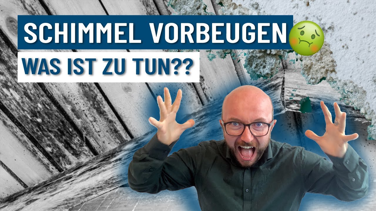 Wie Schimmel vorbeugen | Energieberater klärt auf