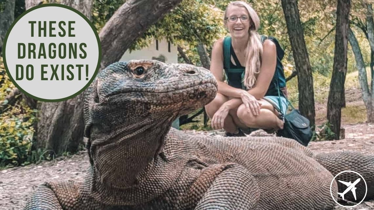 Flores Island, Indonesia - Rinca Island and Komodo Dragons! Part 1