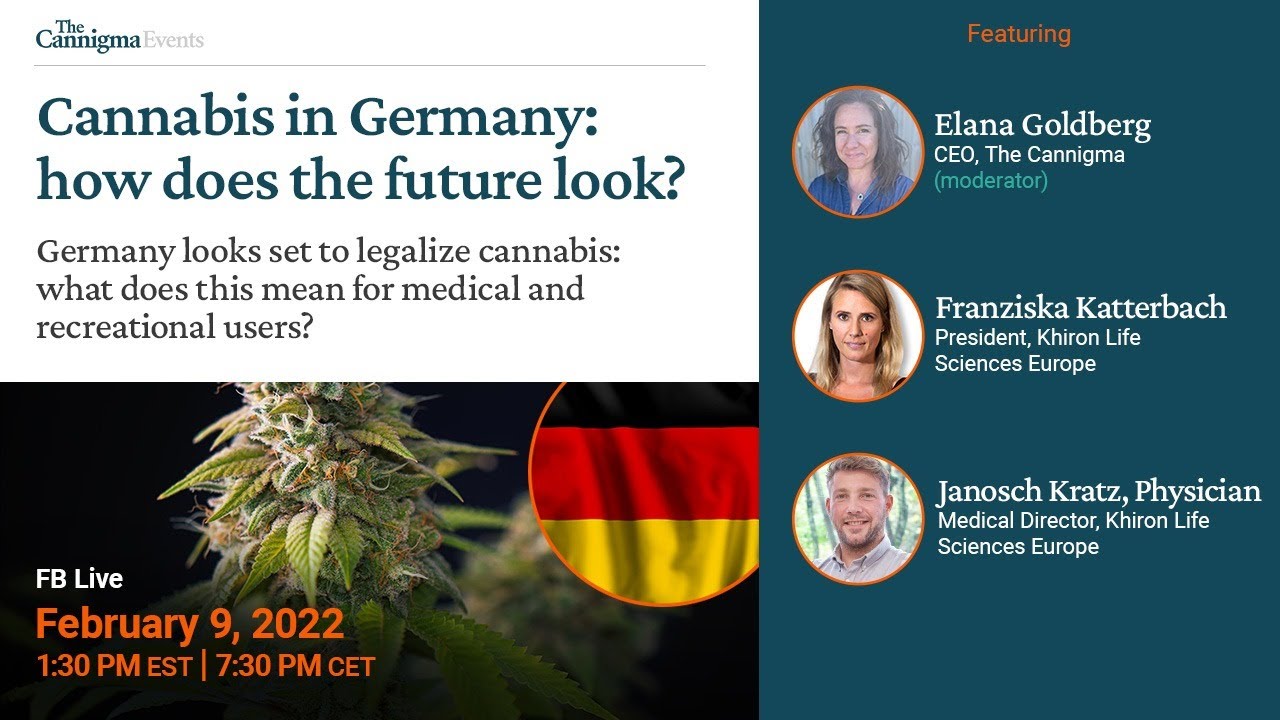 Cannabis in Germany: how does the future look?