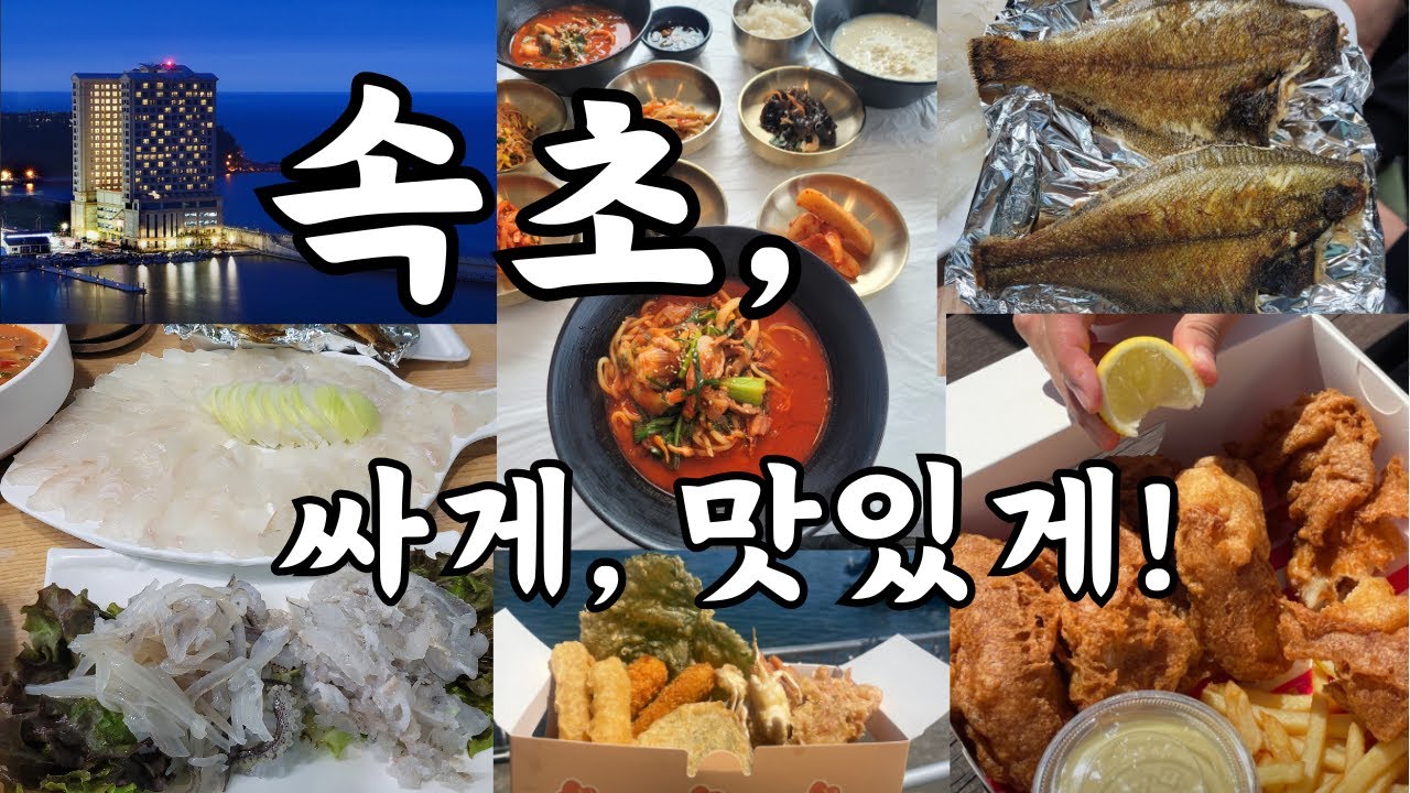 속초라마다호텔, 대포항 회 싸게먹기! #속초 #속초맛집