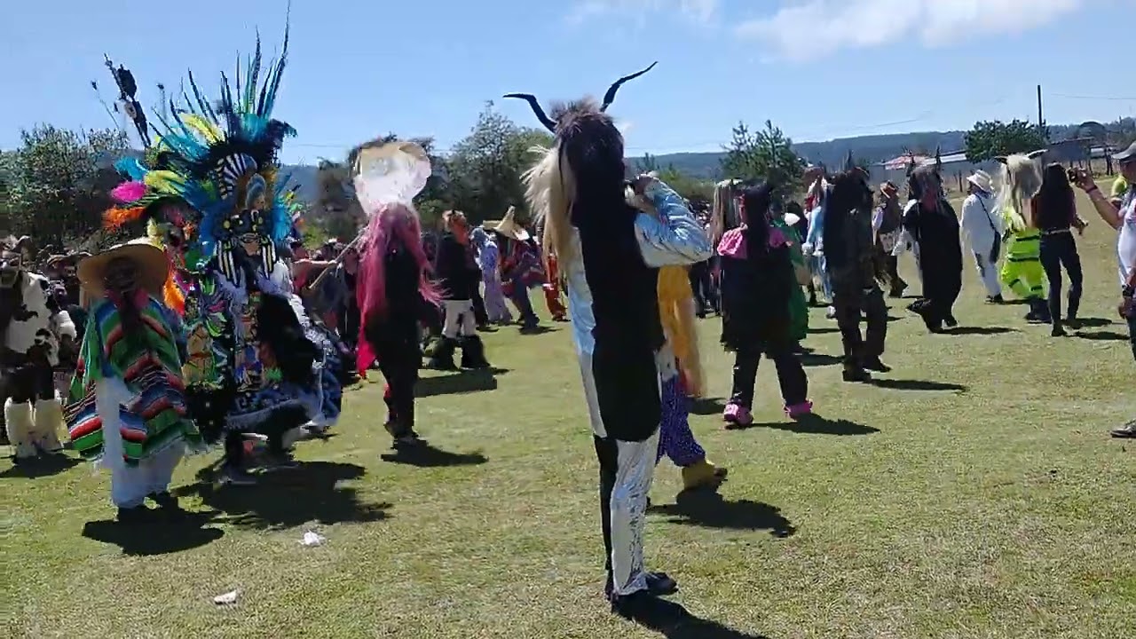 carnaval Carpinteros Hidalgo 2022