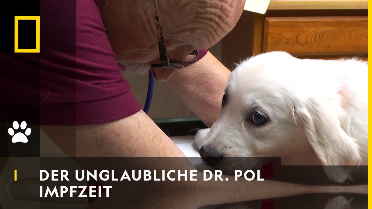 DER UNGLAUBLICHE DR. POL - Impfzeit | National Geographic