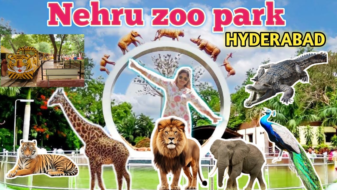 🐯 Exploring Nehru Zoological Park Hyderabad | Full Tour 2025 @Mamaandaayu 