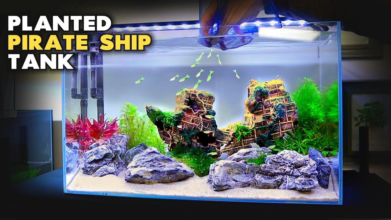 Учебное пособие по акваскейпу: аквариум с растениями в виде пиратского корабля (пошаговое руковод...