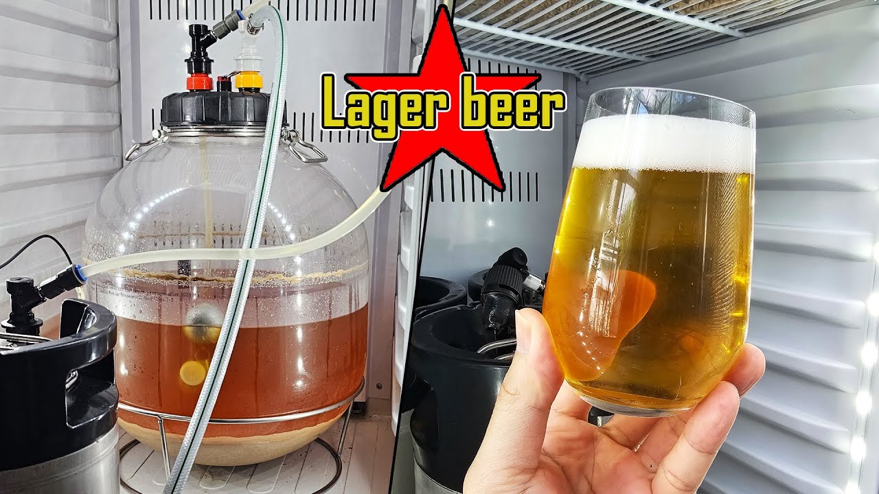 Lager beer ใสๆทำยังไง? คลิปนี้มีคำตอบ