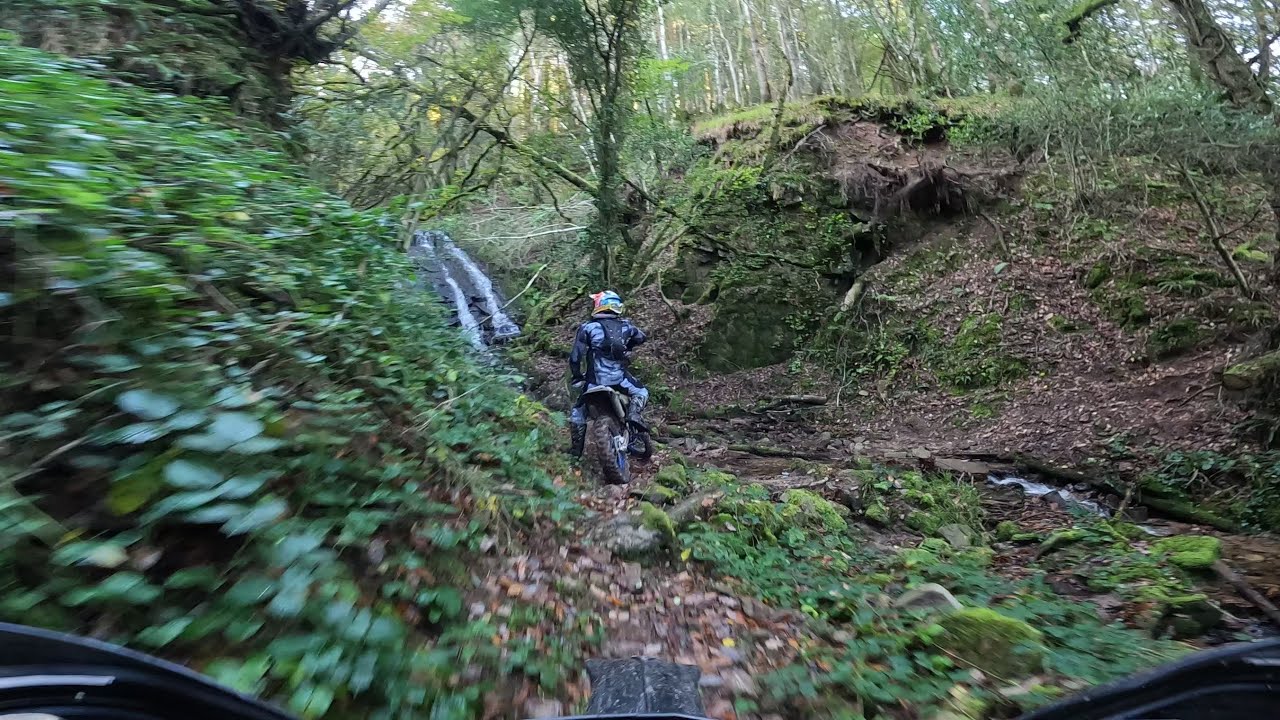 good day out on the trails