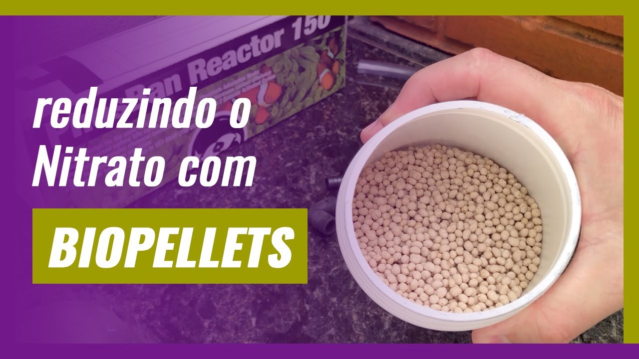 BIOPELLETS NA PRÁTICA: Redução de Nitrato com Reator!