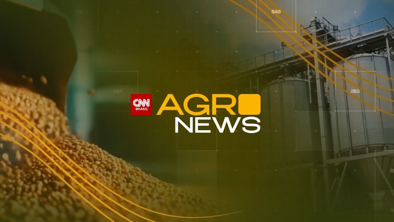 Algodão brasileiro mira acordo comercial para avançar na Índia | CNN AGRO NEWS