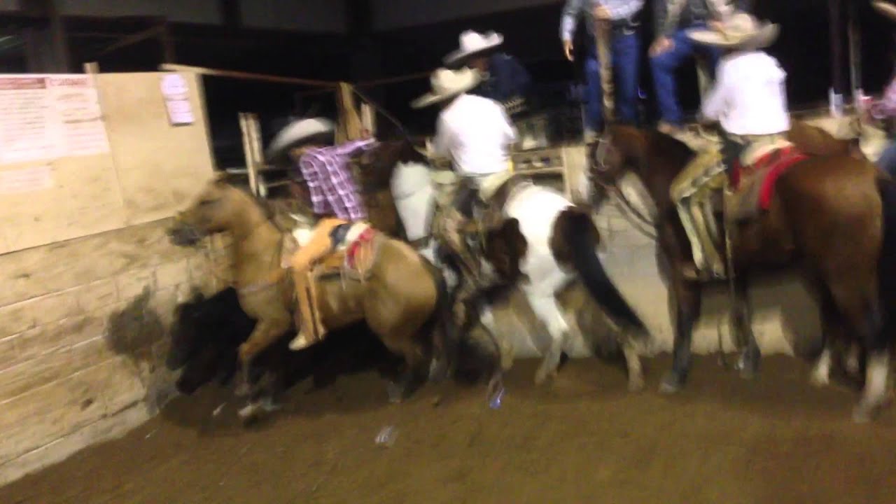 Alex Reveles lienzo charro el Zacatecano
