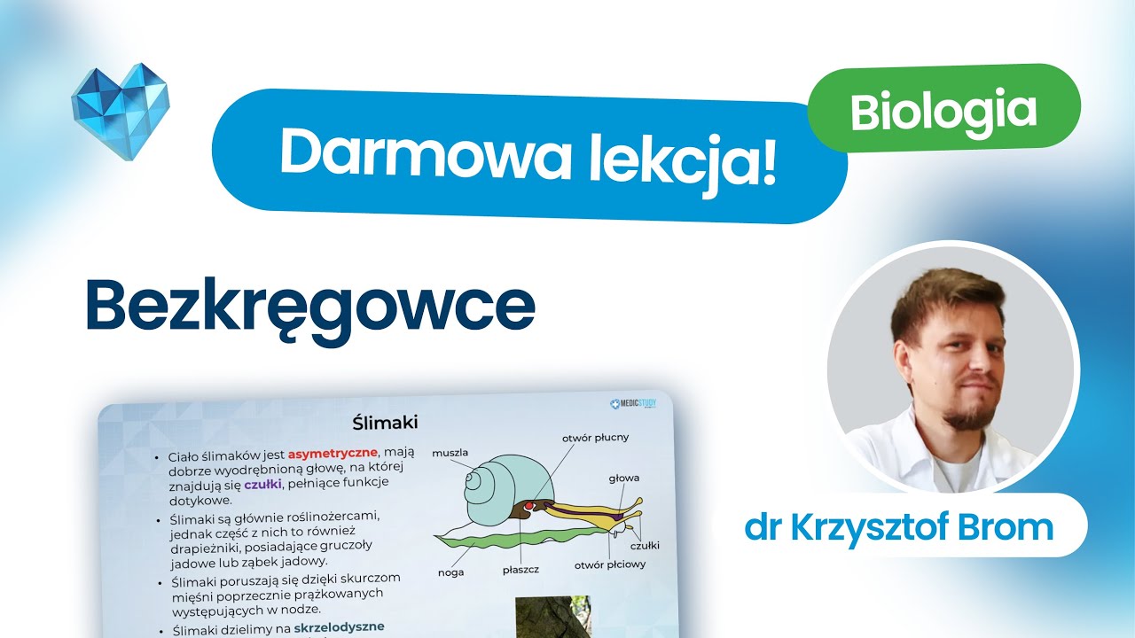 Bezkręgowce – matura biologia 2026+ Kurs maturalny z biologii Biomedica Darmowa lekcja