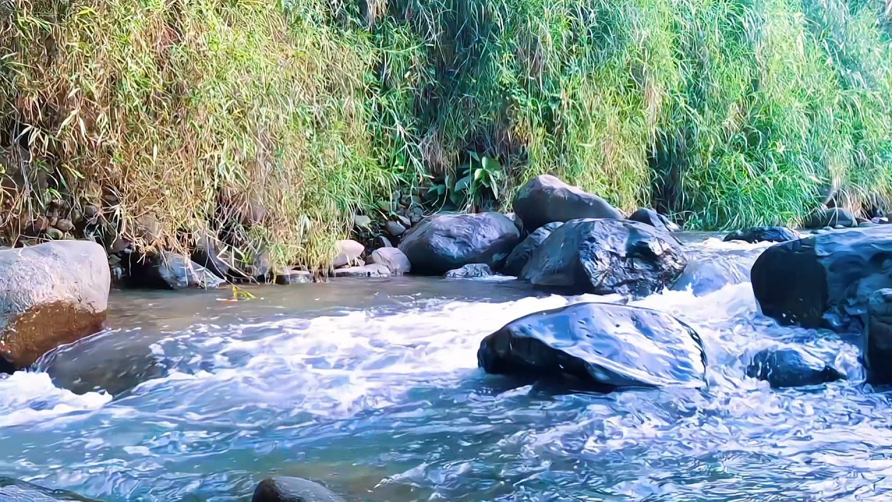 Gentle River Water for Quiet Mind