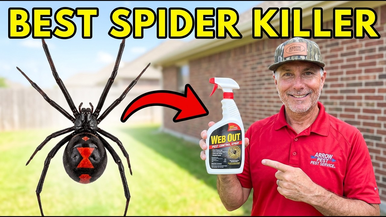 This One Spray Eliminates All House Spiders Naturally!