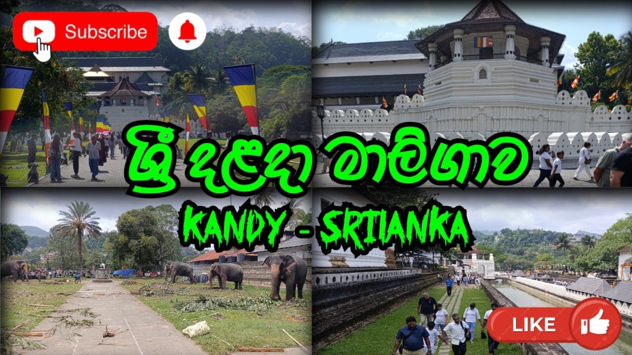 Sri Dalada Maligawa | ශ්‍රී දළදා මාලිගාව 🙏🇱🇰 | Kandy Srilanka | Awidayan ඇවිදයන් | Travel Vlog 😍🇱🇰