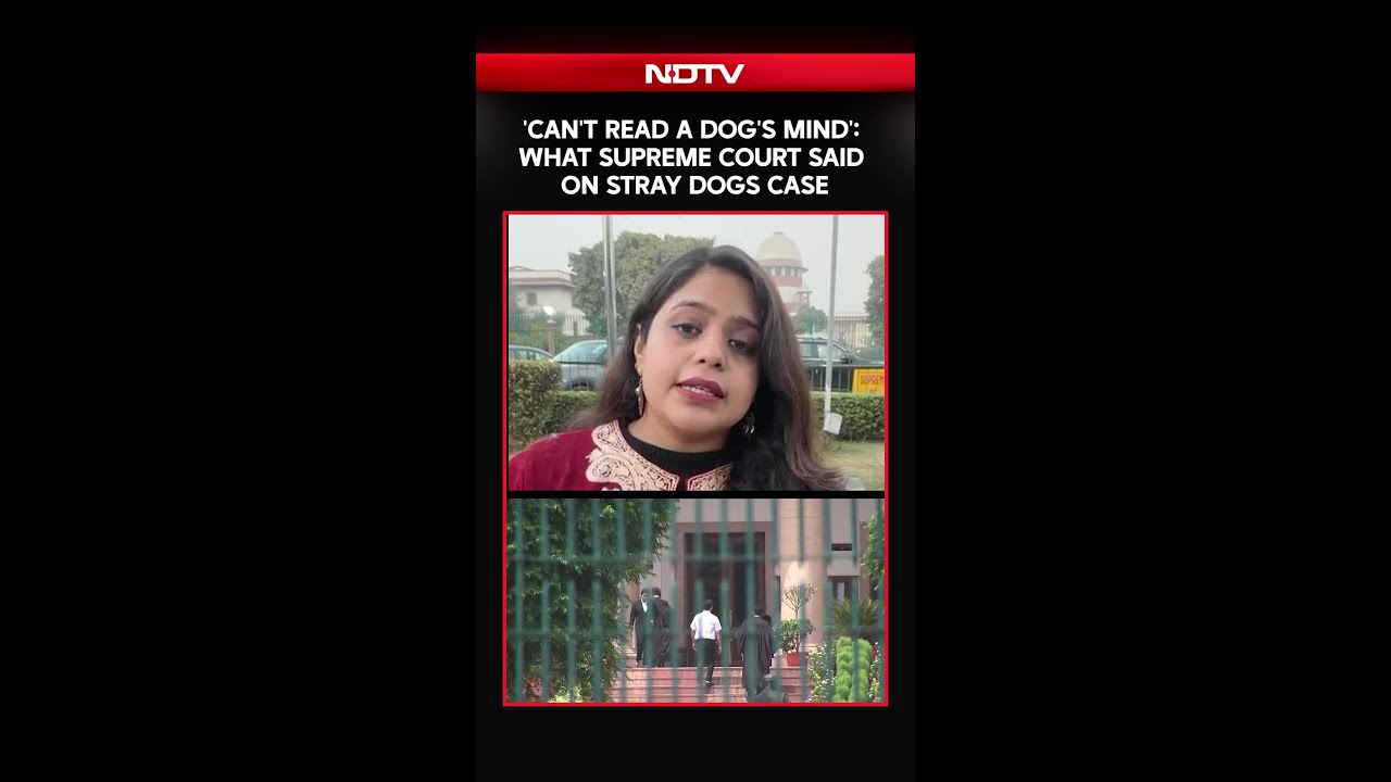 Supreme Court On Stray Dogs | 
