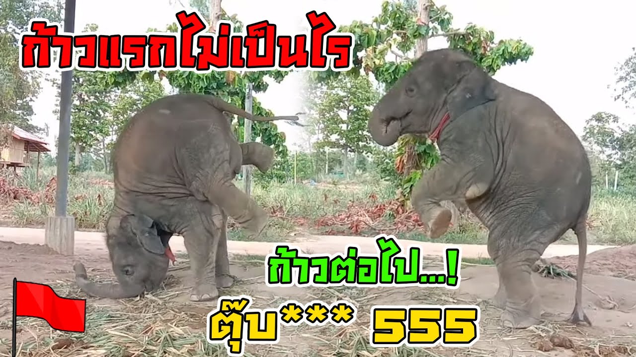 ไม่รู้ว่าน้องดาว......เป็นอะไร!