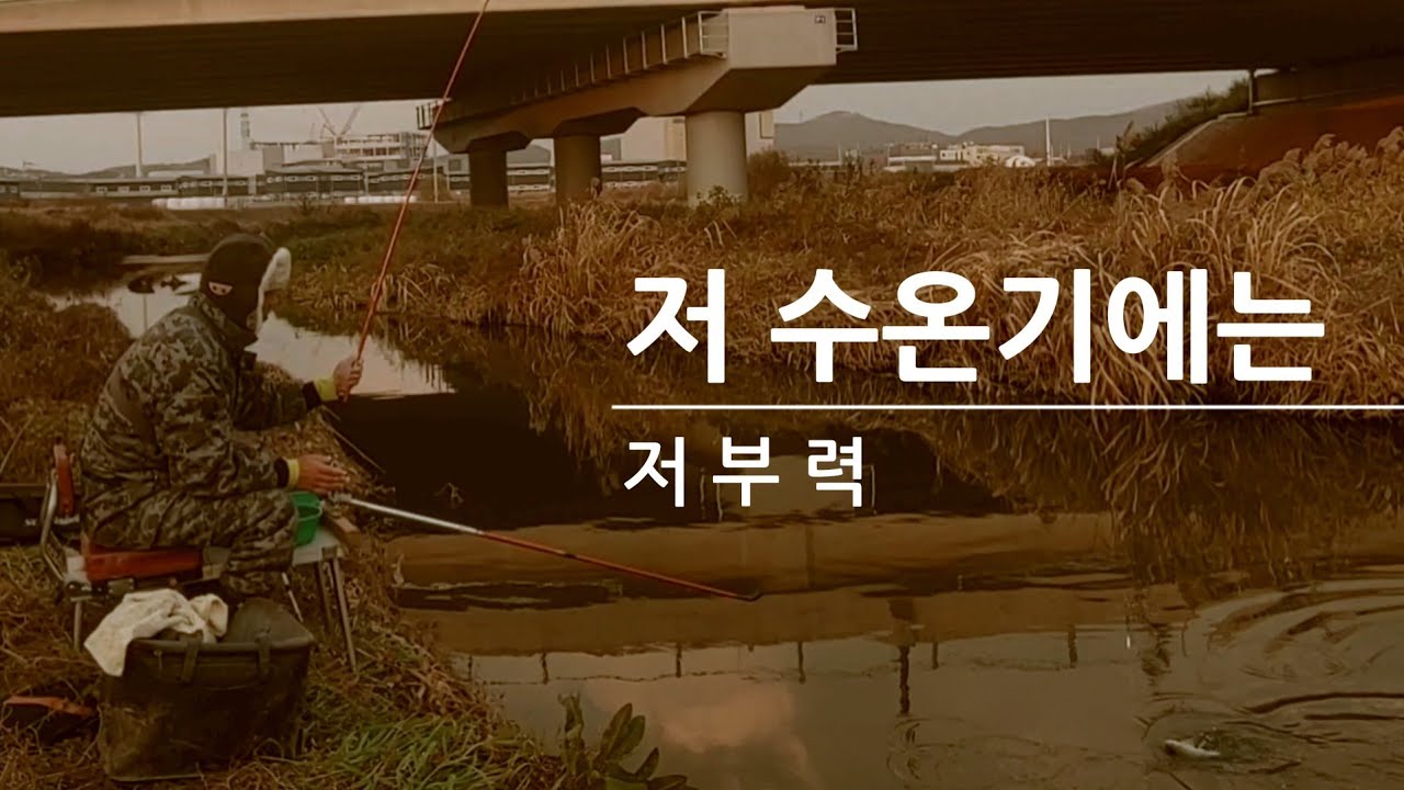 검단수로 붕어낚시!! 새로운 상류에서 마릿수 붕어 만나기!! 저수온기 낚시