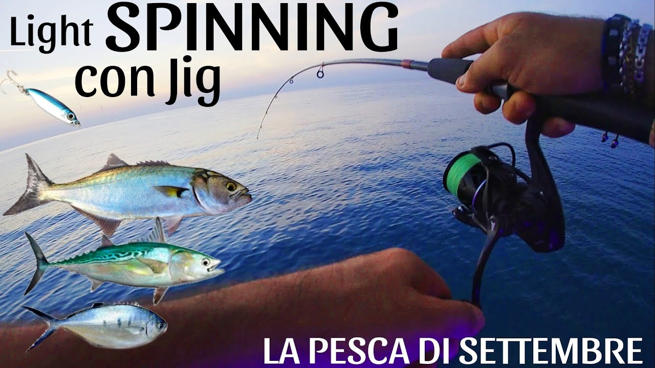 PESCO a LIGHT SPINNING CON i JIG - Settembre | Mix di catture | Pontile Trebisacce | Serra e Leccie
