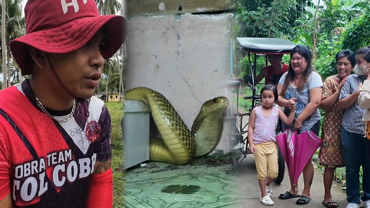 BAHAY SA TIAONG QUEZON TINIRAHAN NG COBRA