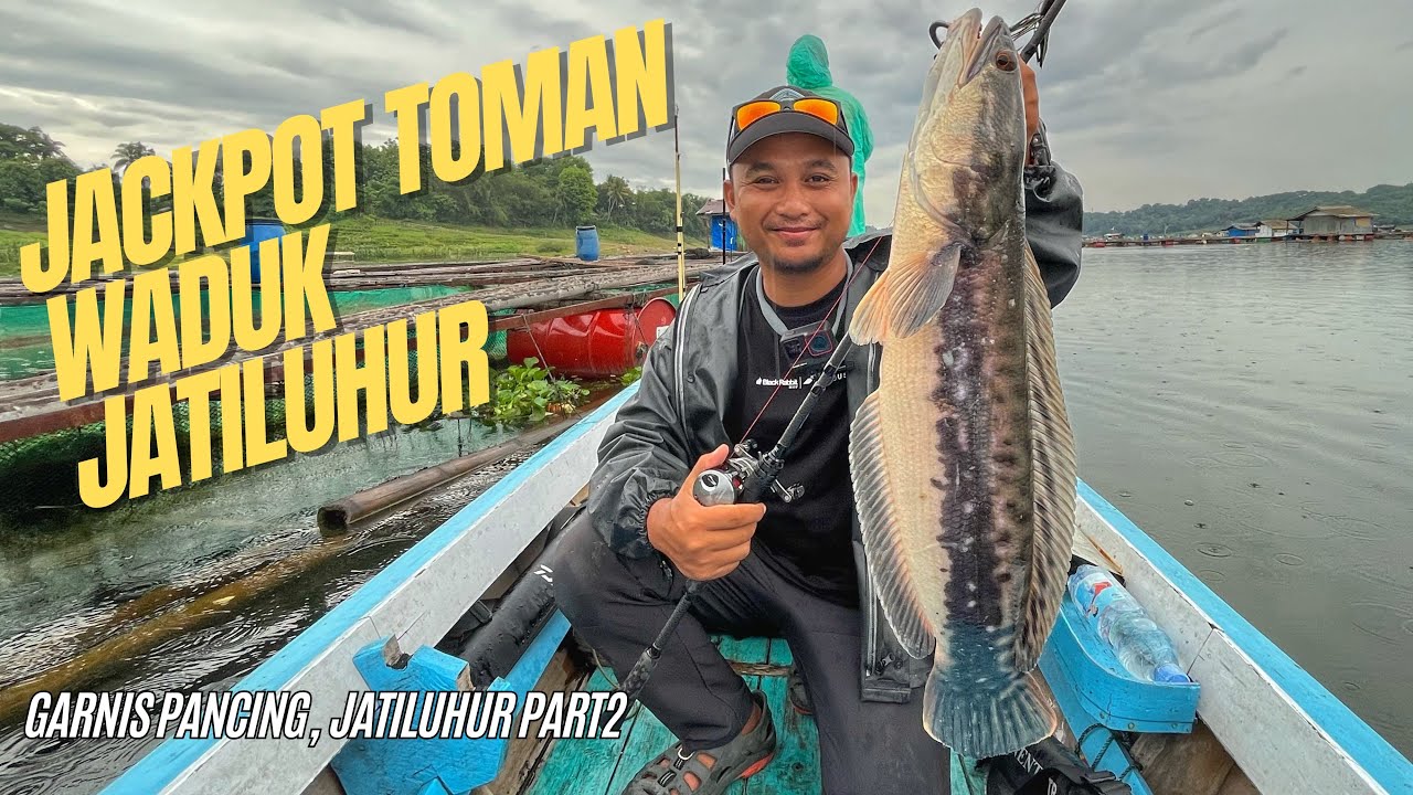 SAMPAI KUALAHAN‼️DIGEMPUR SAMBARAN TOMAN BERTUBI-TUBI‼️😭 PETUALANGAN MANCING WADUK JATILUHUR PART 2