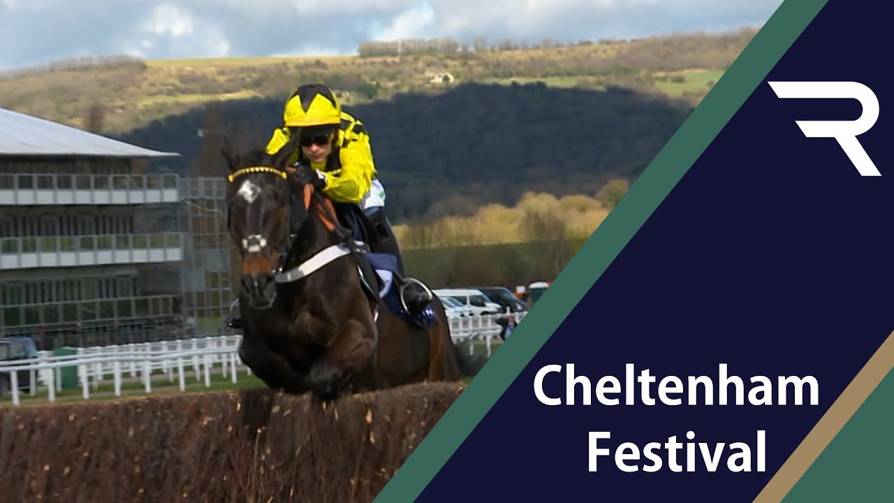 A ONE-HORSE RACE for Shishkin in the 2021 Arkle Chase. Victory for Nicky Henderson's exciting chaser