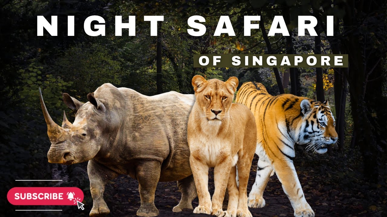 Scary Night Safari Experience in Singapore| Singapore Tour| Singapore Travel Details & Travel Guide