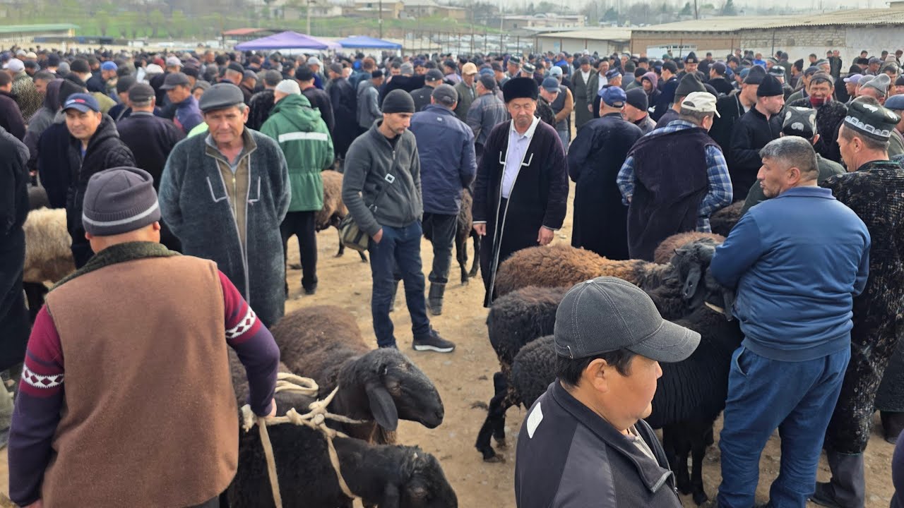 OBUNA BO'LIB LAYK BOSAYLIK AZIZLAR