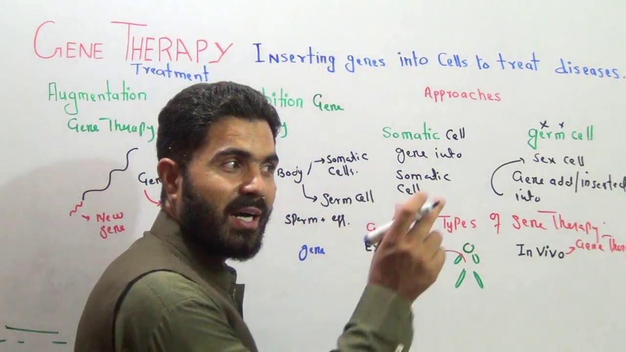 L-2 Gene Therapy Approaches and Types Full Explanation