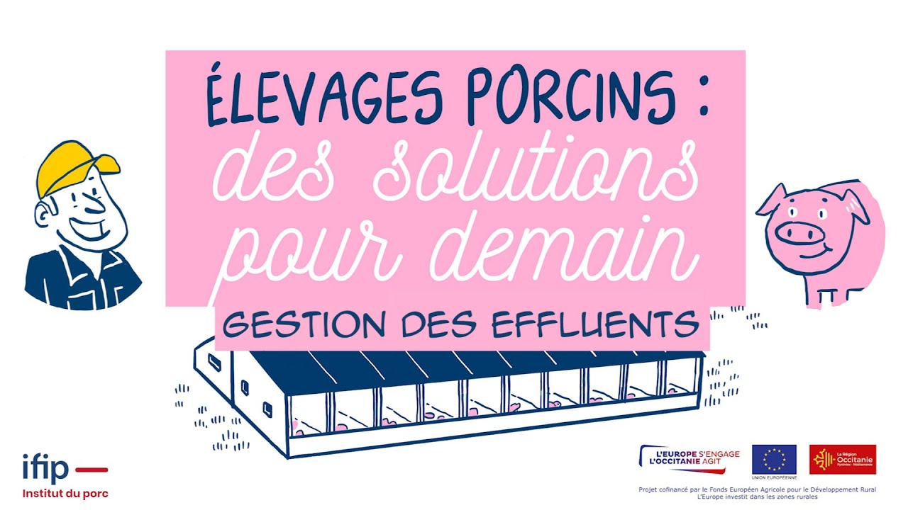 Quelles solutions pour la gestion des effluents des élevages de porcs de demain ?